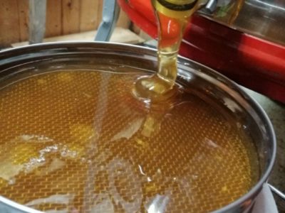 Собранный на Алтае мёд? разнотравье